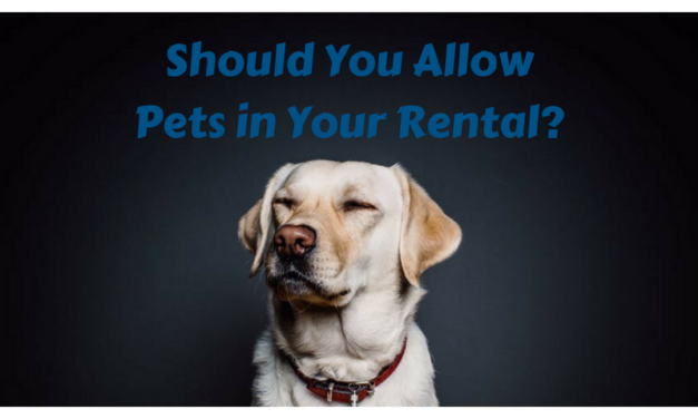 Should Pets be Allowed in my Contra Costa County Rental Property?